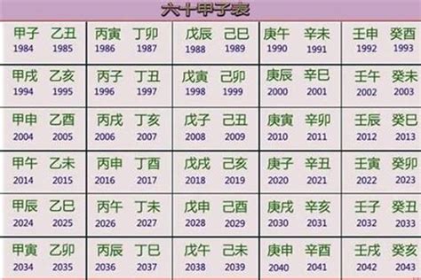 2023年五行属什么